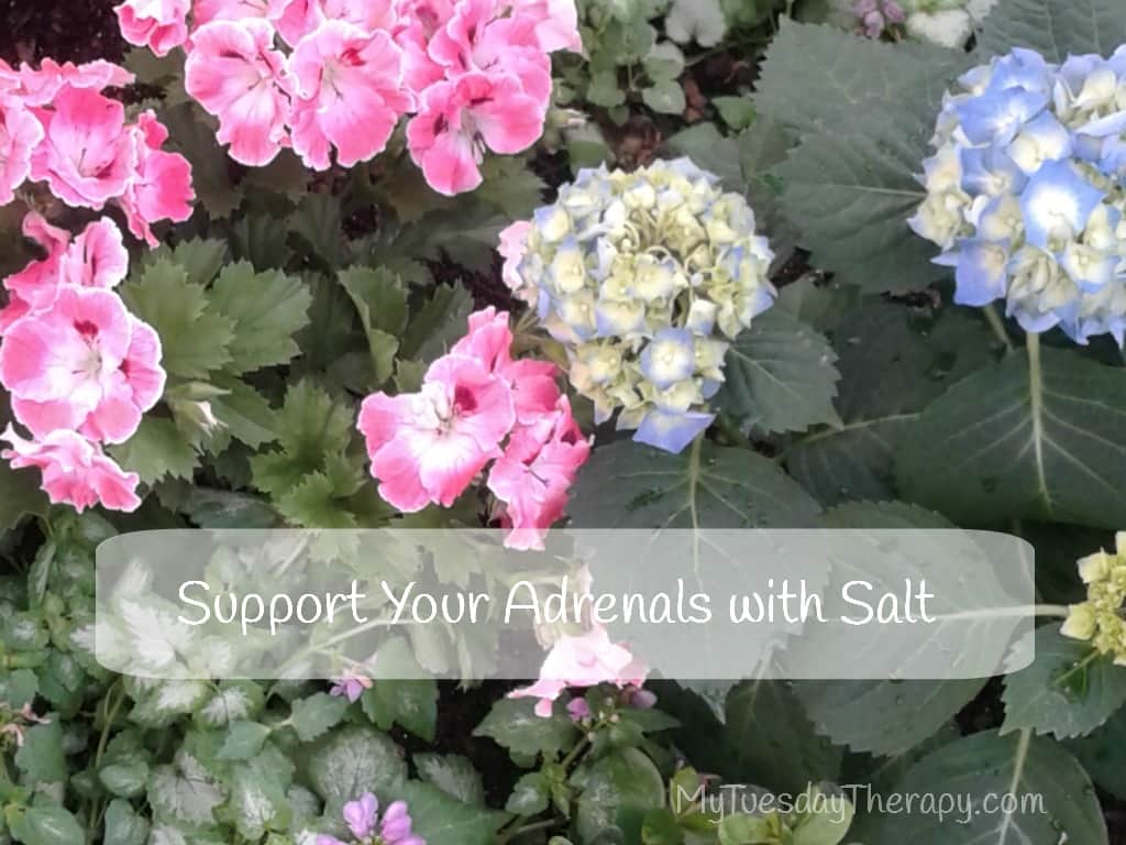 Sea Salt Aids in Adrenal Fatigue Recovery My Tuesday Therapy