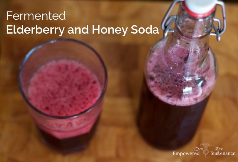 Fermented Elderberry and Honey Soda. Image and Recipe: Empowered Sustenance.